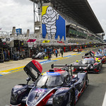 Flickr photo UA-RTLM-2022-241