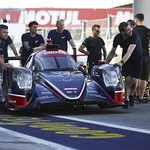 Flickr photo 22-2MDH8383