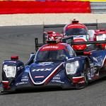 Flickr photo UA-ELMS-Spa-2022-355