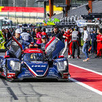 Flickr photo UA-ELMS-Spa-2022-262