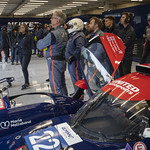 Flickr photo UA-ELMS-Spa-2022-251