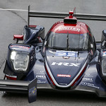 Flickr photo UA-ELMS-Spa-2022-171