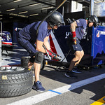 Flickr photo UA-ELMS-Spa-2022-068