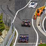 Flickr photo UA-MLMC-Spa-2022-122