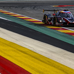 Flickr photo UA-MLMC-Spa-2022-095