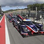 Flickr photo UA-MLMC-Spa-2022-034