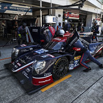 Flickr photo 22-1MDH8837 (1)