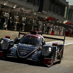 Flickr photo 22-1MDH7088