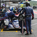 Flickr photo UA-ELMS-Spa-2022-434