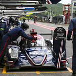 Flickr photo UA-ELMS-Spa-2022-433