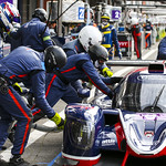 Flickr photo UA-ELMS-Spa-2022-404