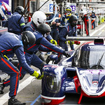 Flickr photo UA-ELMS-Spa-2022-403