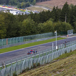 Flickr photo UA-ELMS-Spa-2022-316