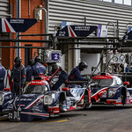 Flickr photo UA-ELMS-Spa-2022-029
