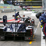 Flickr photo UA-MLMC-Spa-2022-196