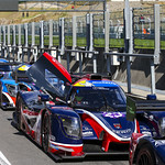 Flickr photo UA-MLMC-Spa-2022-039