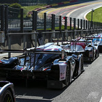 Flickr photo UA-MLMC-Spa-2022-026