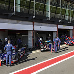 Flickr photo UA-MLMC-Spa-2022-012