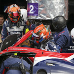 Flickr photo UA-ELMS-Spa-2022-427