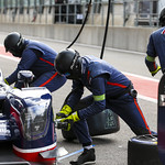 Flickr photo UA-ELMS-Spa-2022-408