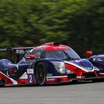 Flickr photo UA-ELMS-Spa-2022-371