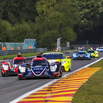 Flickr photo UA-ELMS-Spa-2022-338