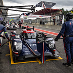 Flickr photo UA-ELMS-Spa-2022-257