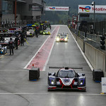 Flickr photo UA-ELMS-Spa-2022-167