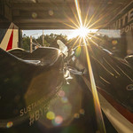 Flickr photo UA-ELMS-Spa-2022-081