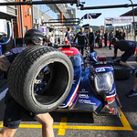 Flickr photo UA-ELMS-Spa-2022-069