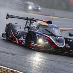 Flickr photo UA-MLMC-Spa-2022-309