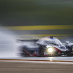 Flickr photo UA-MLMC-Spa-2022-297