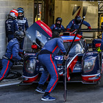 Flickr photo UA-MLMC-Spa-2022-111