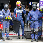 Flickr photo UA-ELMS-Spa-2022-422