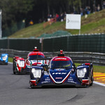 Flickr photo UA-ELMS-Spa-2022-333