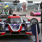Flickr photo UA-ELMS-Spa-2022-232