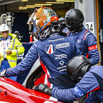 Flickr photo UA-ELMS-Spa-2022-207