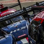 Flickr photo UA-ELMS-Spa-2022-003