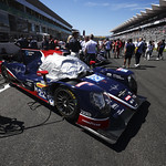 Flickr photo 22-4MDH6010