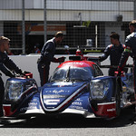 Flickr photo 22-1MDH7749