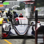 Flickr photo 22-1MDH1619