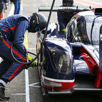 Flickr photo UA-ELMS-Spa-2022-411