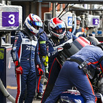 Flickr photo UA-ELMS-Spa-2022-405