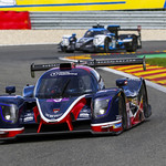 Flickr photo UA-ELMS-Spa-2022-353