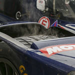 Flickr photo UA-ELMS-Spa-2022-195