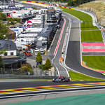 Flickr photo UA-ELMS-Spa-2022-097