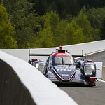 Flickr photo UA-ELMS-Spa-2022-053