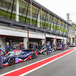 Flickr photo UA-MLMC-Spa-2022-239