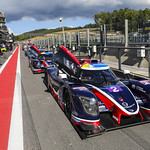 Flickr photo UA-MLMC-Spa-2022-033