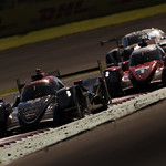 Flickr photo 22-4MDH7618 (1)